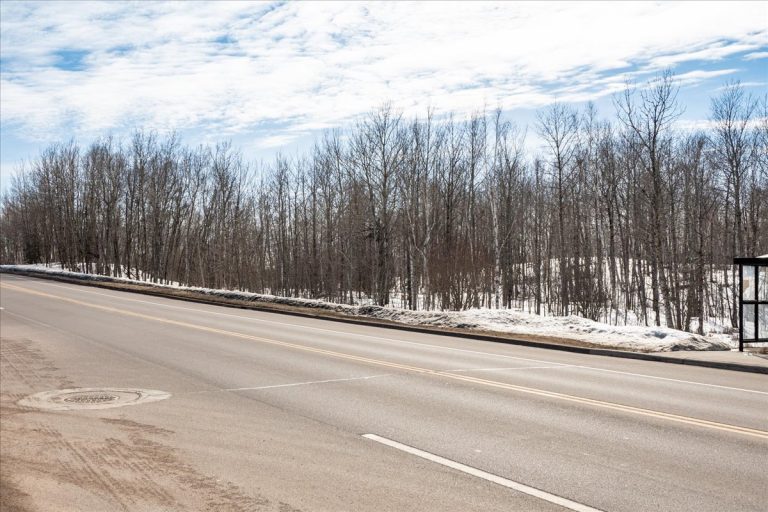 2-North Haines Rd (2)