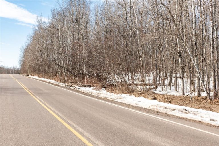 4-North Part of Swan Lake Rd (2)