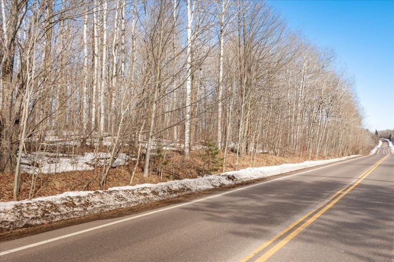 5-North Part of Swan Lake Rd