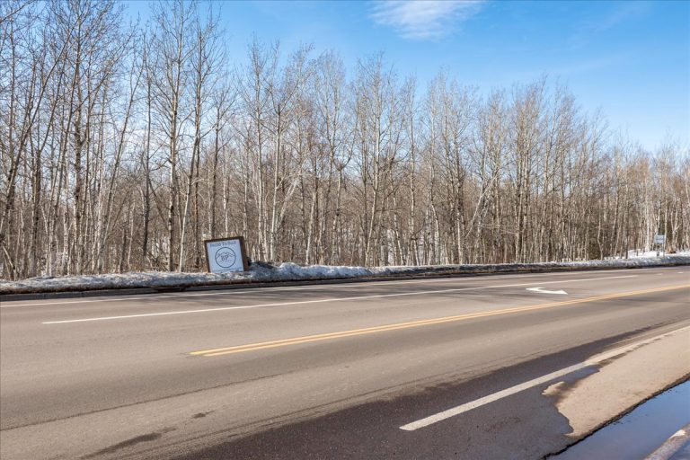 6-South Haines Rd (2)