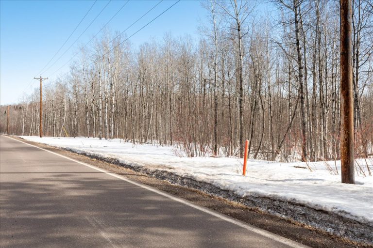 9-South Part of Swan Lake Rd